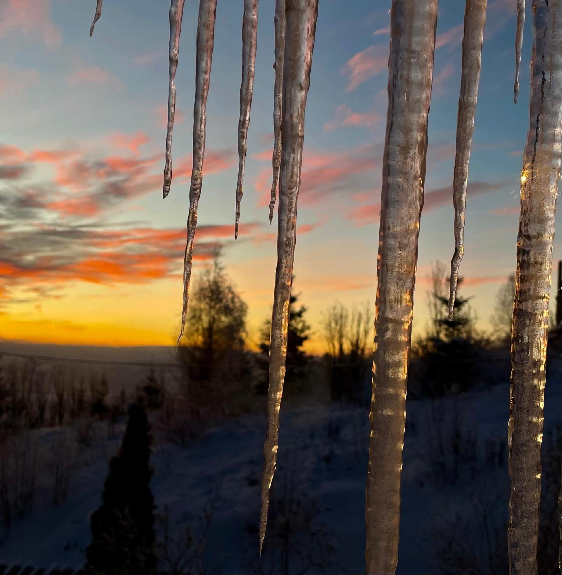 Stabbur Steinbekken, Back To Basic Primitive Overnight Eidsvoll Luaran gambar